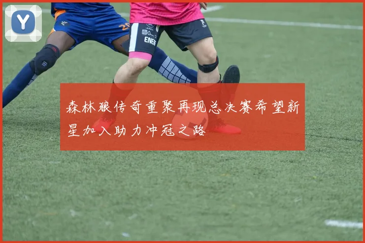 森林狼传奇重聚再现总决赛希望新星加入助力冲冠之路