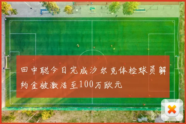 田中聪今日完成沙尔克体检球员解约金被激活至100万欧元